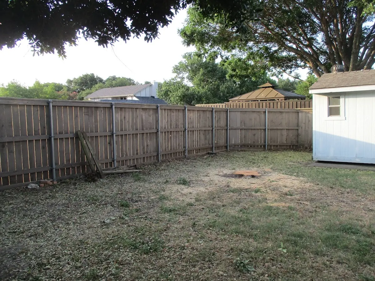 Cleared yard after professional tree removal in Blanchardville